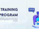 Management Training Program Tems Tech Solutions
