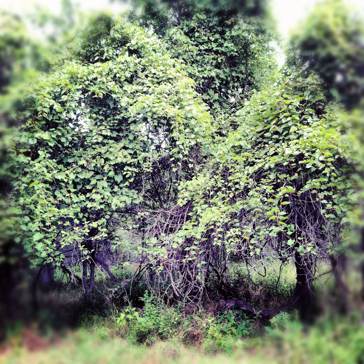 Untitled 2