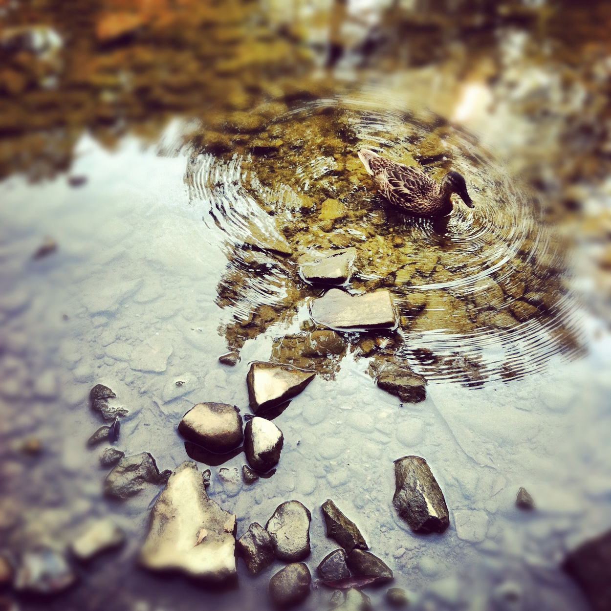 Untitled 4