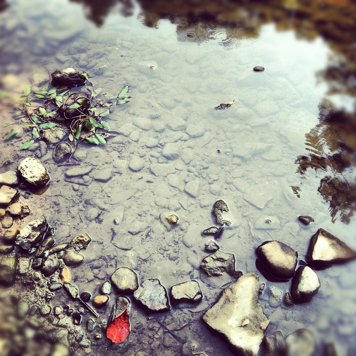 untitled 5