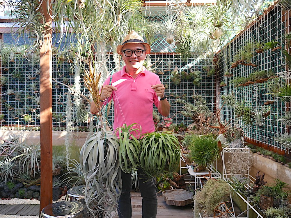 It is amazing for curious children and adults alike to watch seeds in their garden grow and then nurture them into something much larger than the tiny. Singapore Garden Stories Air Plant Artisan Daniel Goh