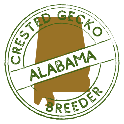 alabama crested gecko breeders