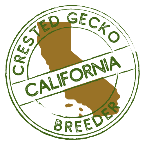 crested gecko breeders in california