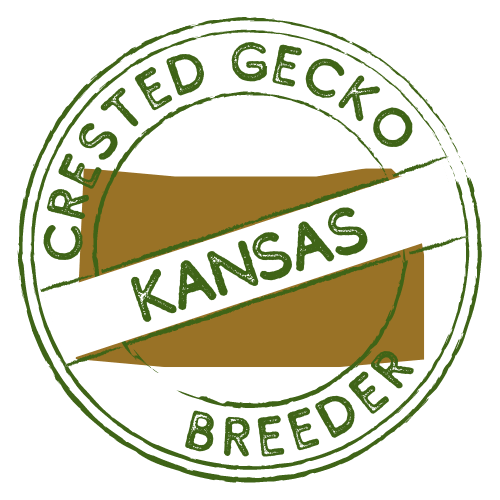 kansas crested gecko breeders