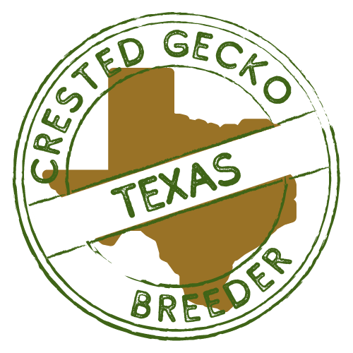 texas crested gecko breeders