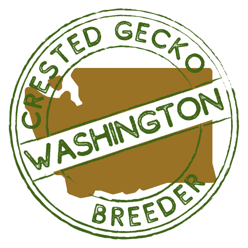 washington crested gecko breeders