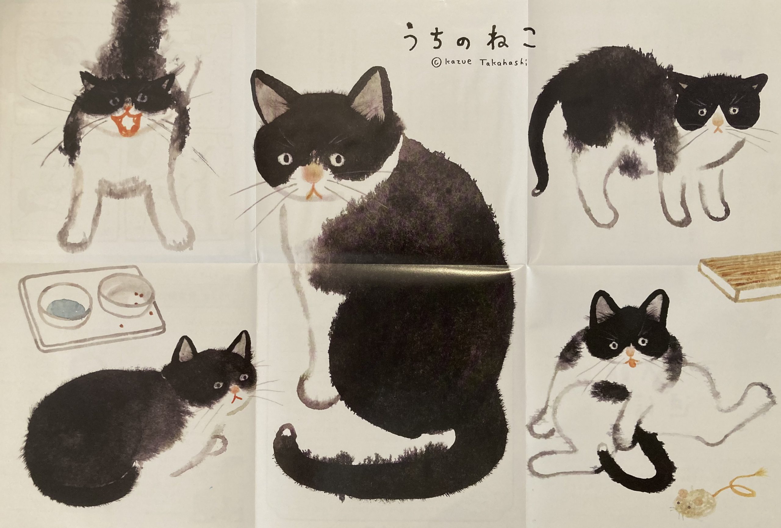 告知 うちのねこ 高橋和枝 原画展開催 こどもの本屋 てんしん書房