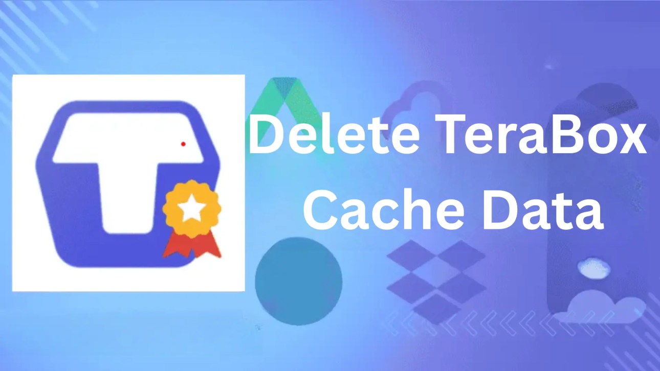 Delete TeraBox Cache Data