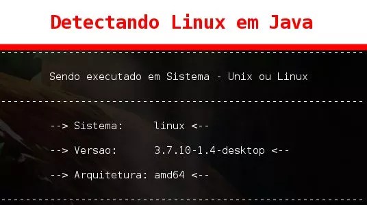 Detectando Linux em Java