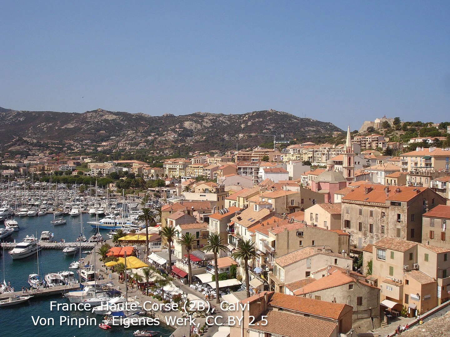 Calvi Majestätisch