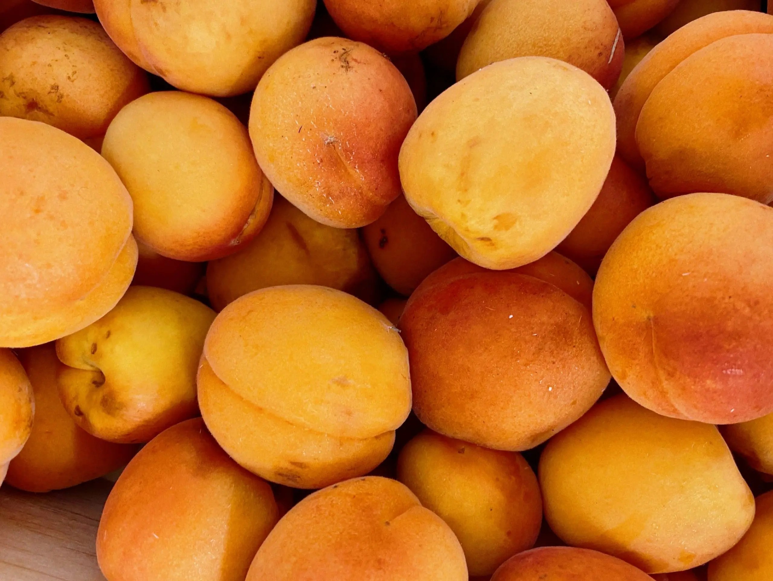 Abricots