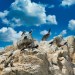 ISOLE BALLESTAS