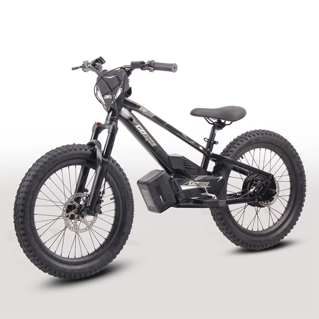 GoBike 20" — kids electric off-road bike