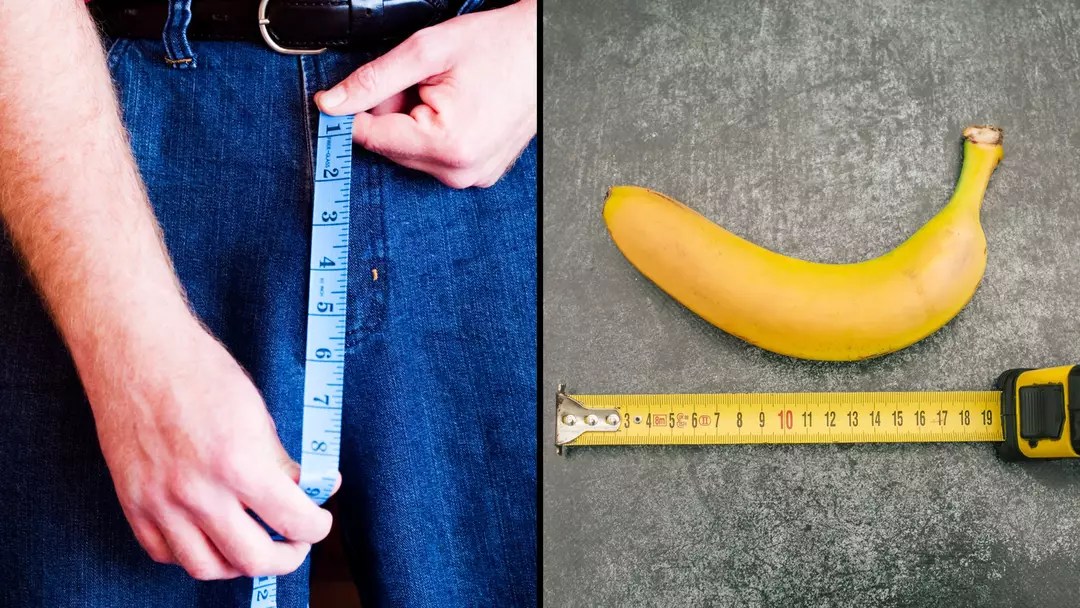 Le pays avec la plus grande taille moyenne de pénis au monde a été révélé