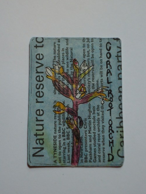 Orchid card by Shell