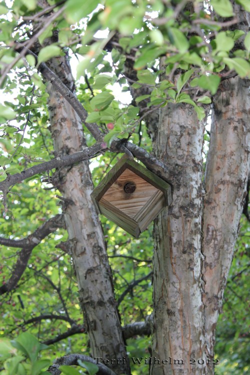 birdhouse