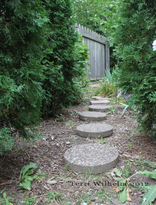 path in backyard