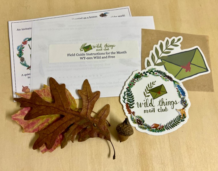 Wild Things Mail Club by Terri Wilhelm