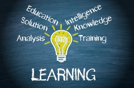 the art of learning