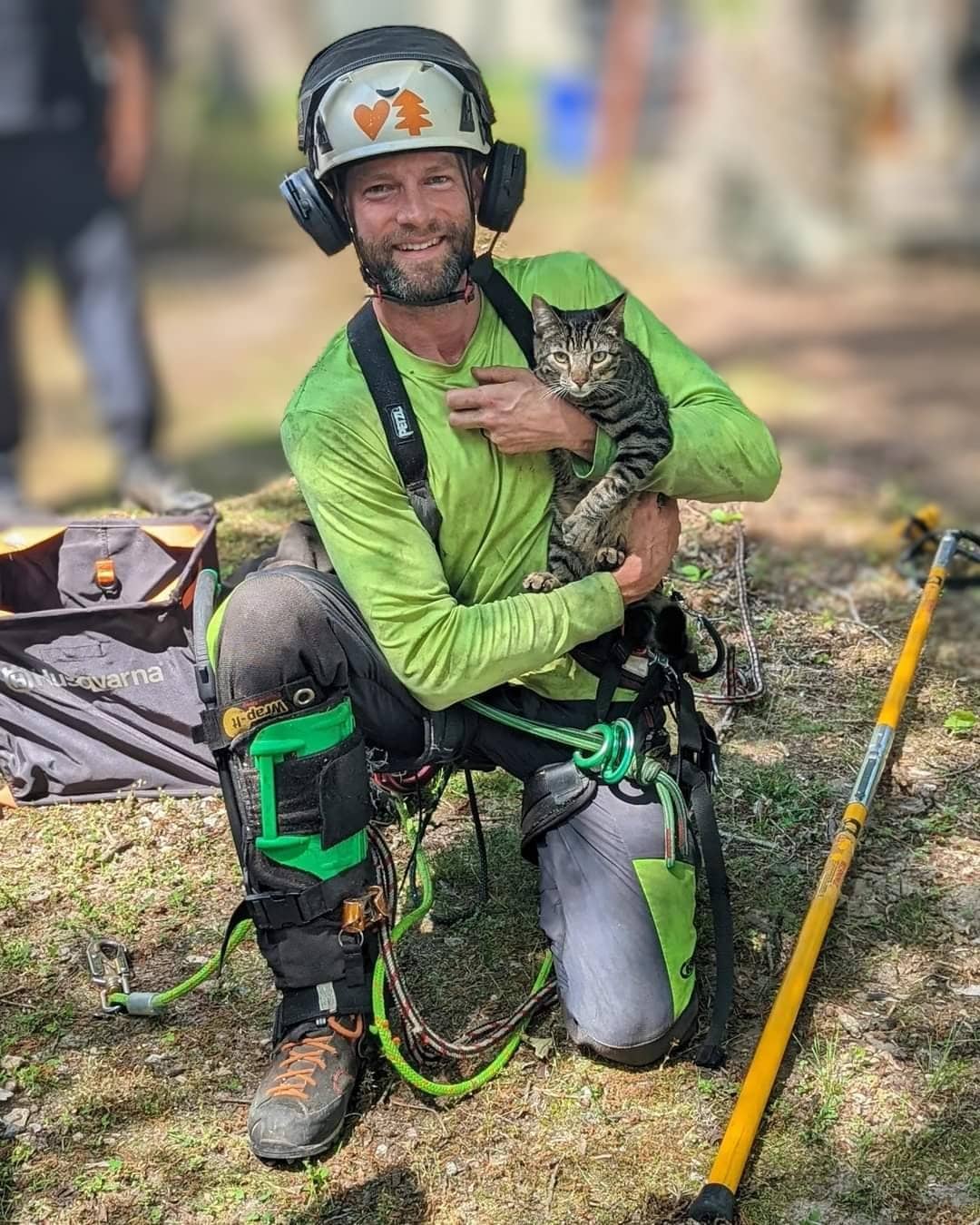 FREE Cat-in-a-tree Rescue