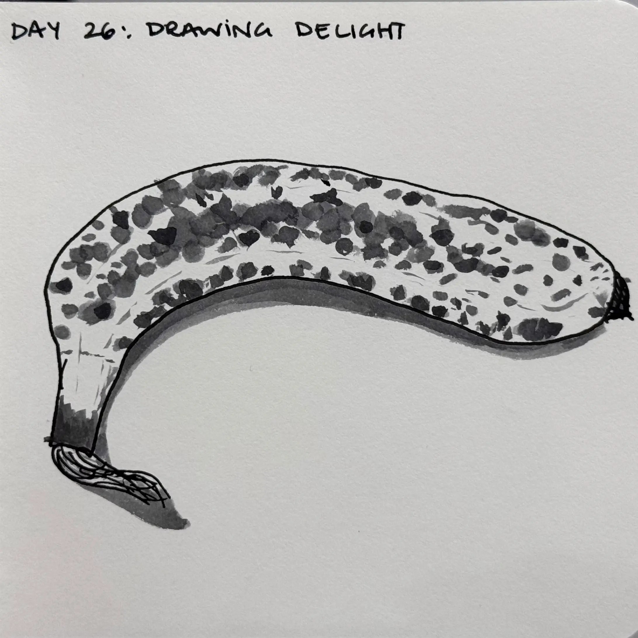 Day 26: Drawing Delight. An ink drawing of a banana.