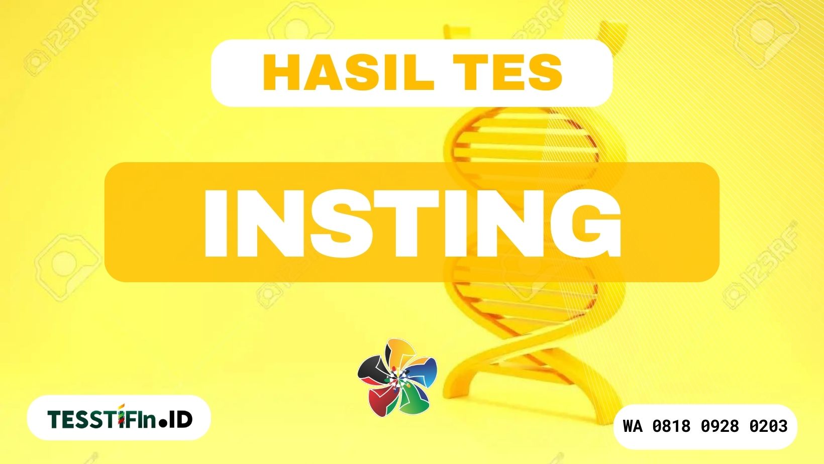 Hasil Tes STIFIn Insting In