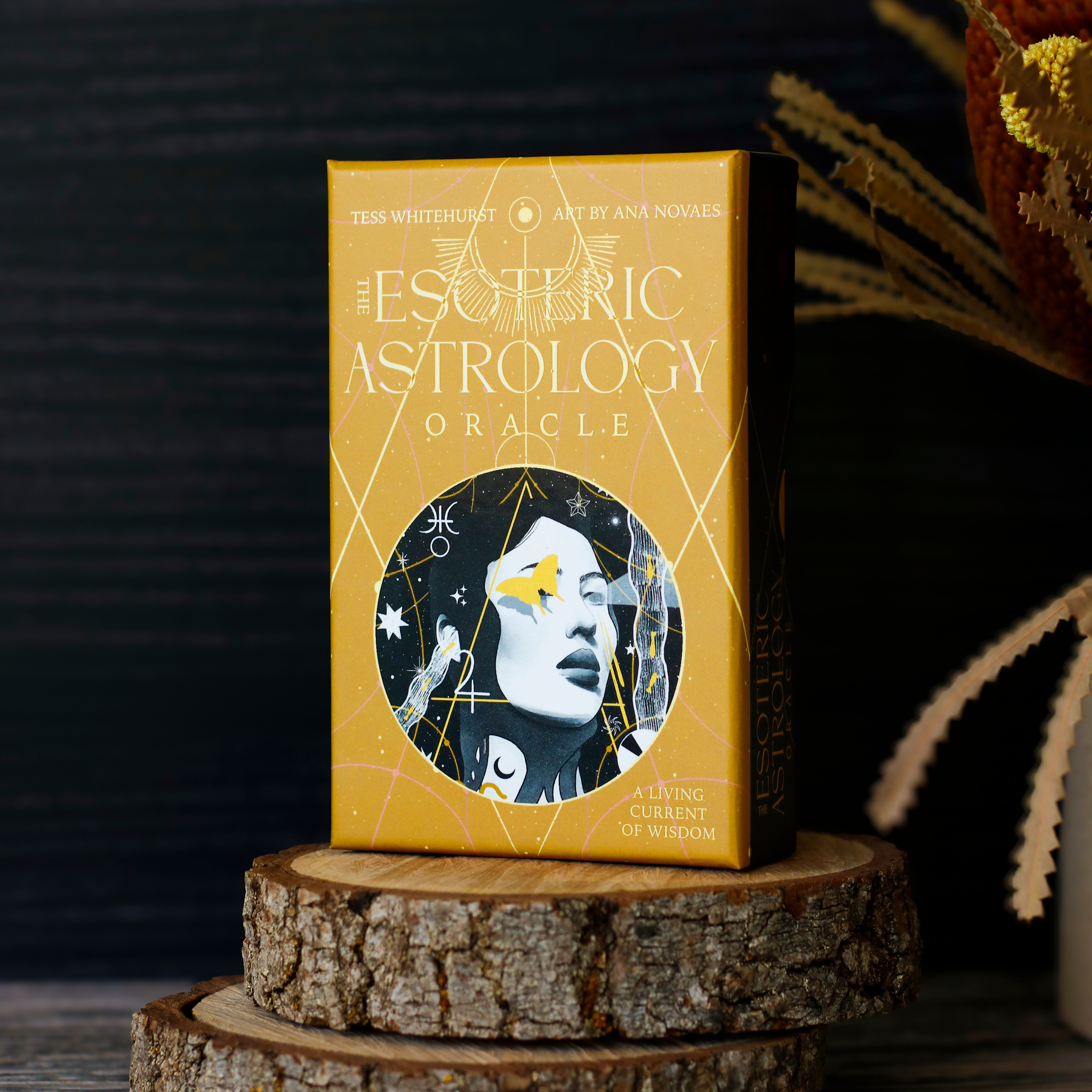 The Esoteric Astrology Oracle - SIGNED COPY - Tess Whitehurst