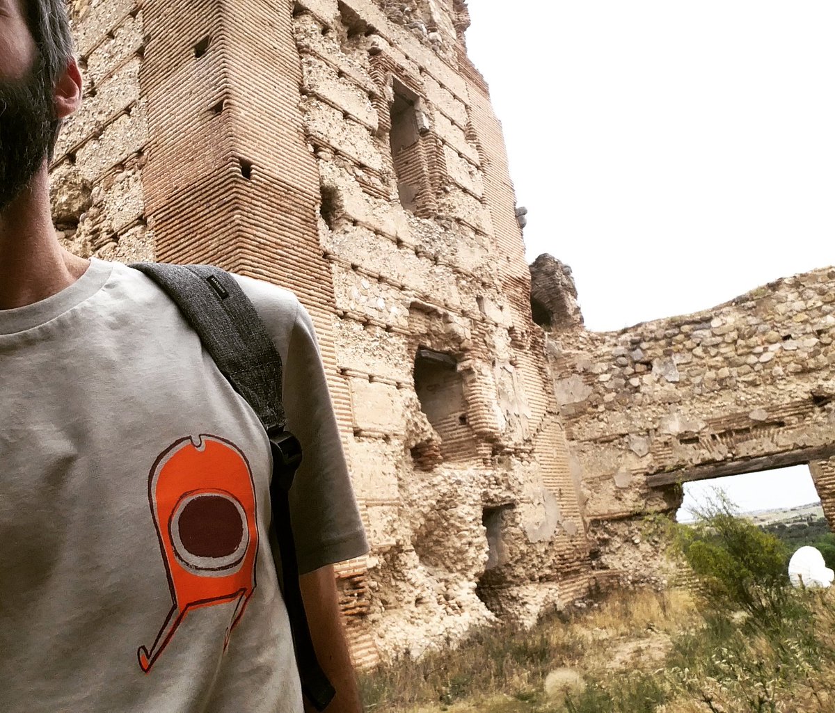 Castillo robado
