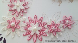 Fotobox pflaumenblau