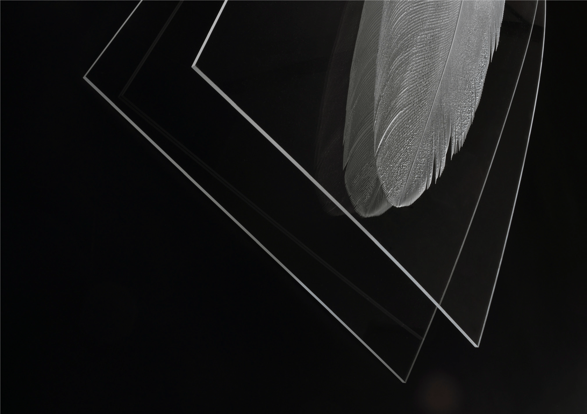 Johan Buskov Romme: Impossible Beauty
