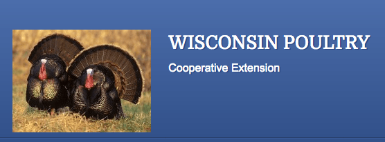 Concerned for Leaded Eggs?  Testing in Wisconsin!