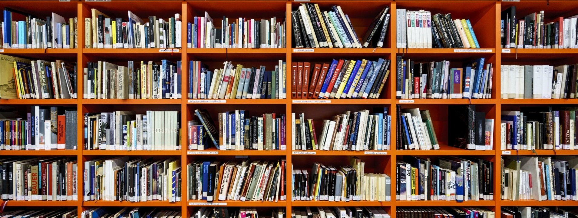 Library full of books