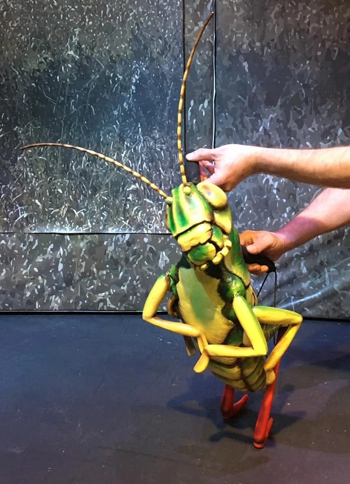 James and the Giant Peach Grasshopper