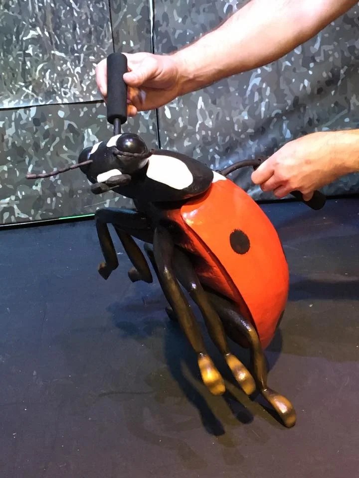 James and the Giant Peach Lady Bug