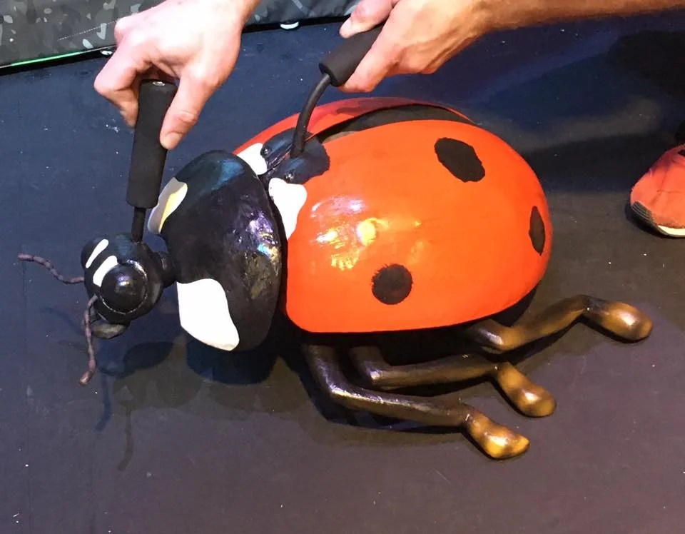 James and the Giant Peach Lady Bug