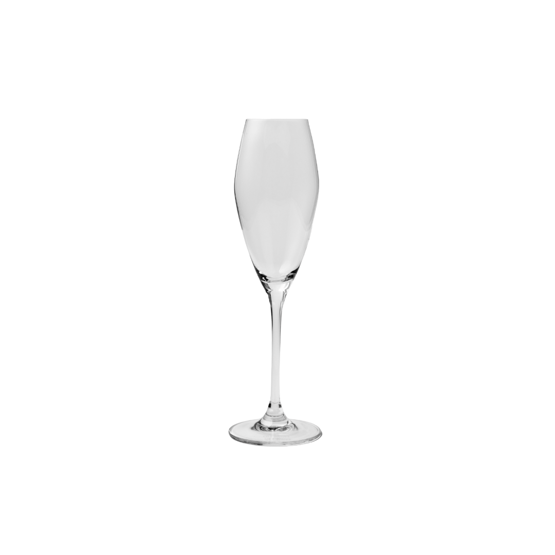 JAN - Champagne Glass Set of 4 in Gift Box