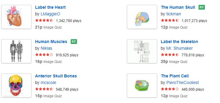 A comprehensive database of more than 38 human anatomy quizzes online, test your knowledge with human anatomy quiz questions. 11 Free Anatomy And Physiology Games Apps 2022