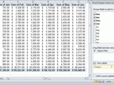 Pivot Tables For Dummies Excel 2010 Cabinets Matttroy