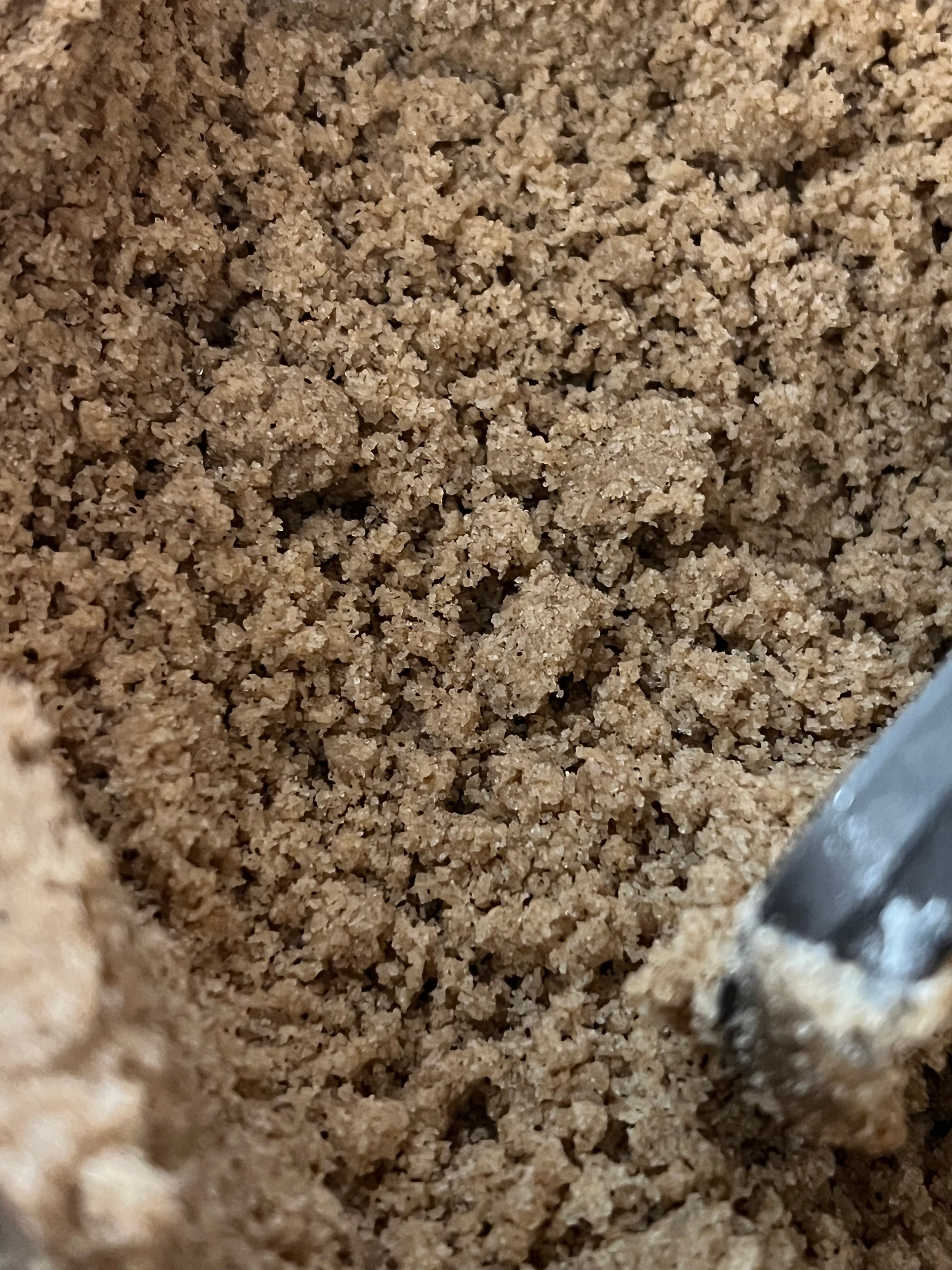 Fresh-milled vanilla cake batter