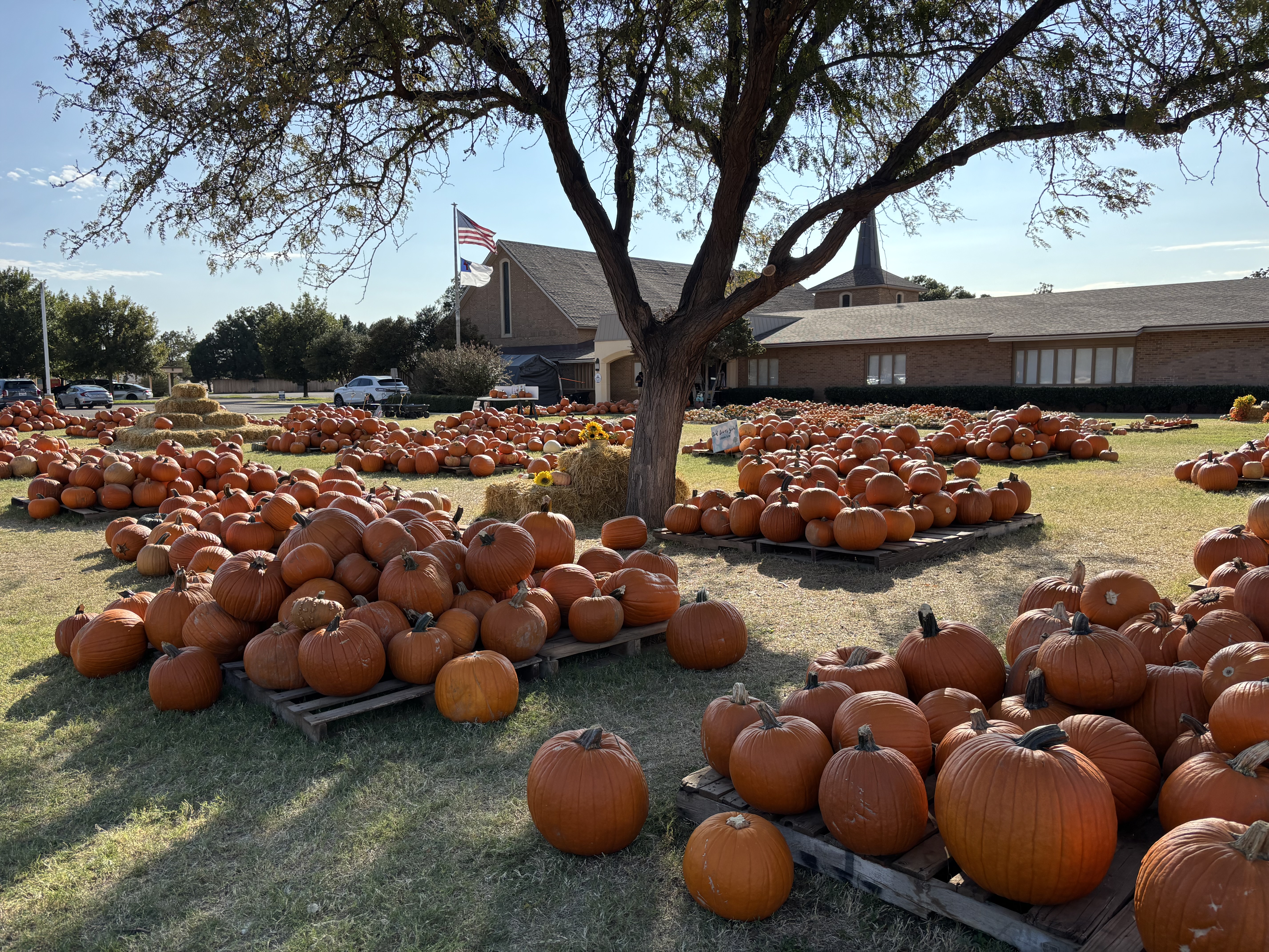 Picture this: Finding fall