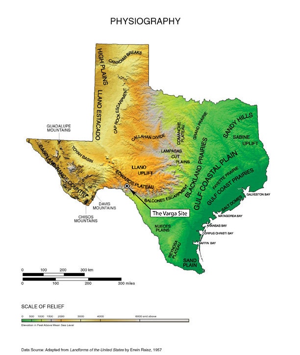 Texas Dimensions Miles At Annabelle Focken Blog Physio Map 