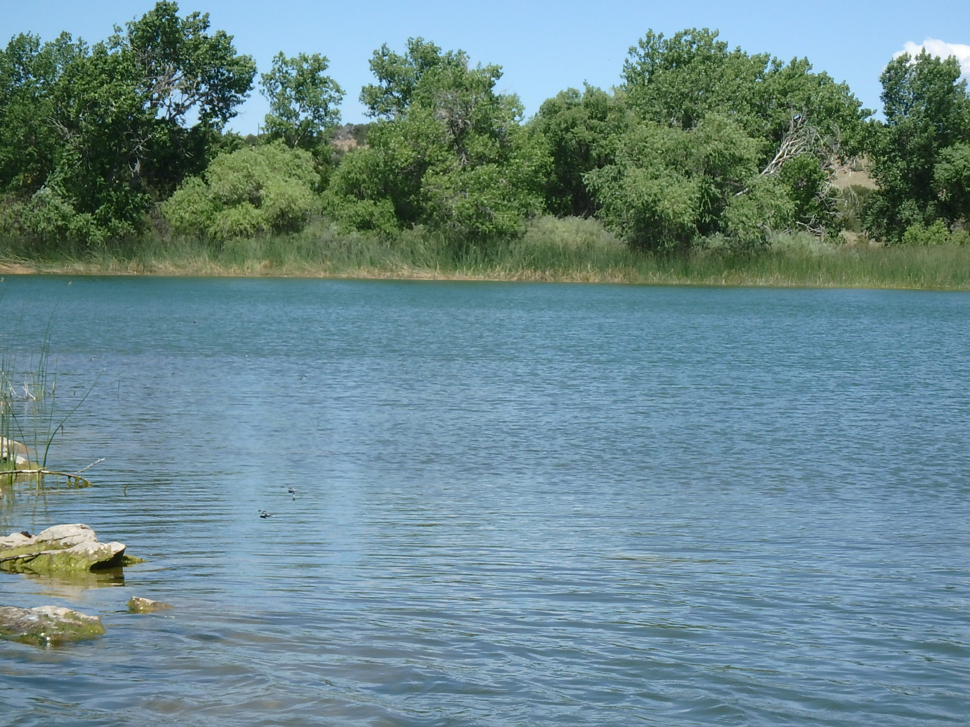 Shallow water at Lathrop State Park