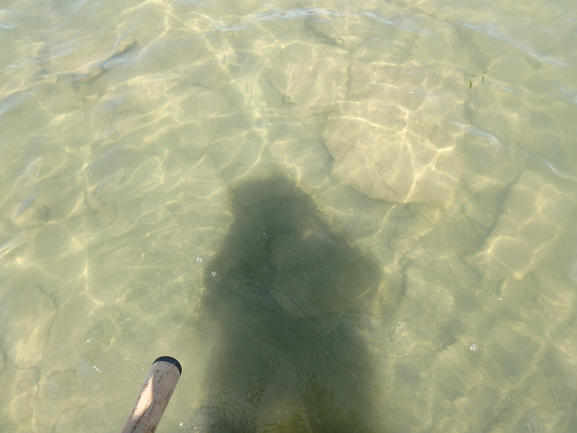 Clean, clear water at Lathrop State Park
