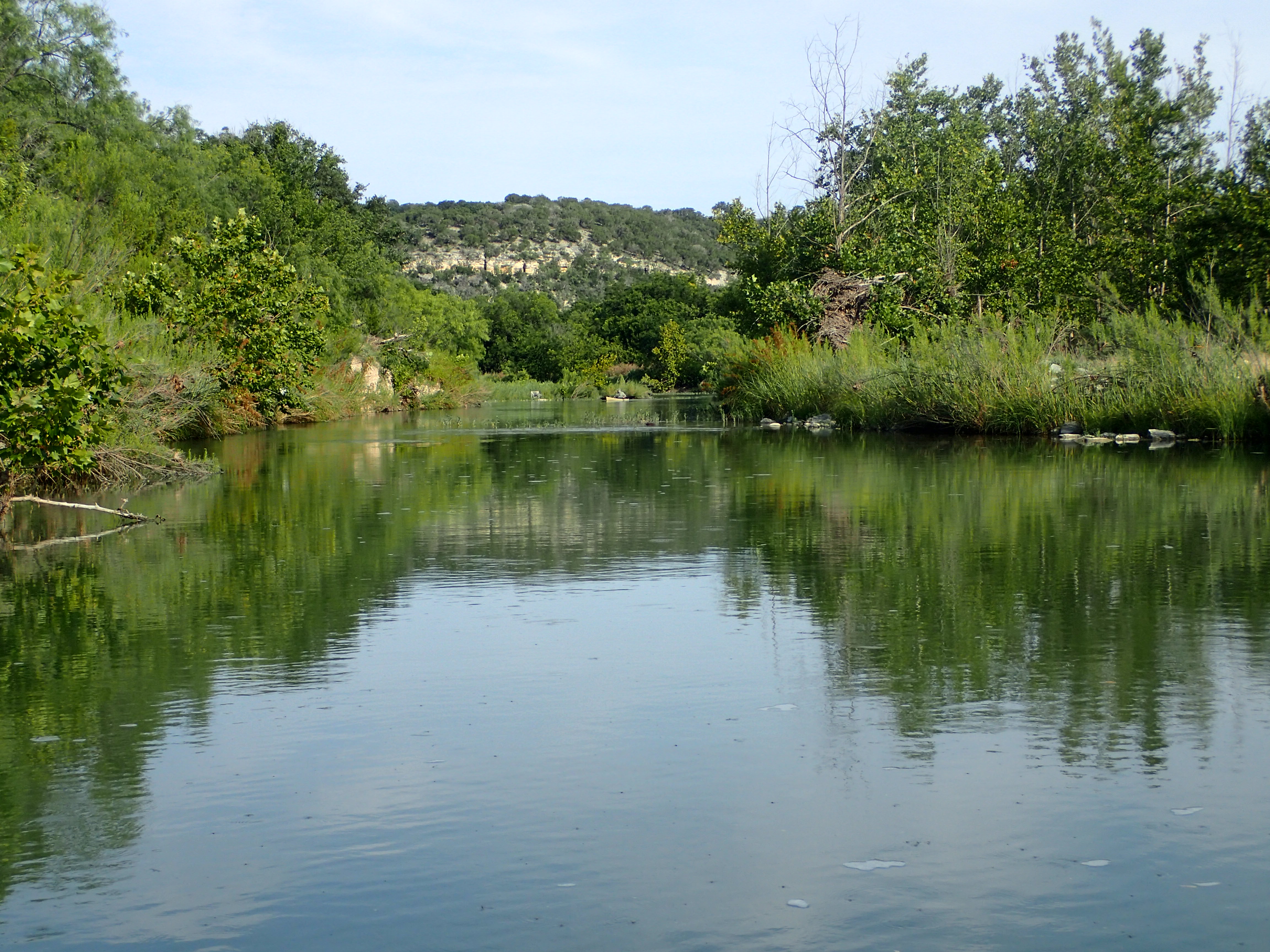 The river