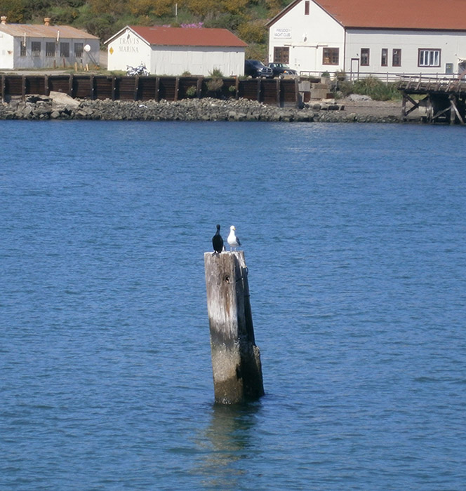 U hebt een periodieke gift als: Brollopsdagen Del 2 Gift Par Bland Giftek Texasfrun Usa Blogg