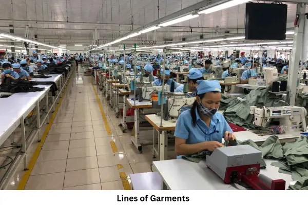 Image of Garment lines