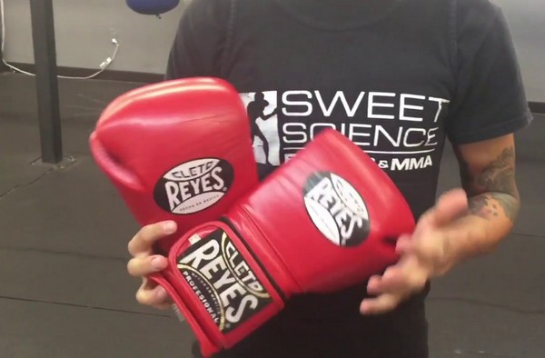 Boxing gloves
