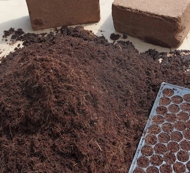 Coco peat