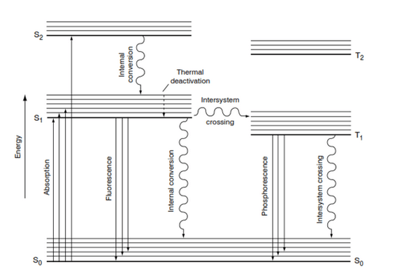 Absorption and Fluorescence Process
