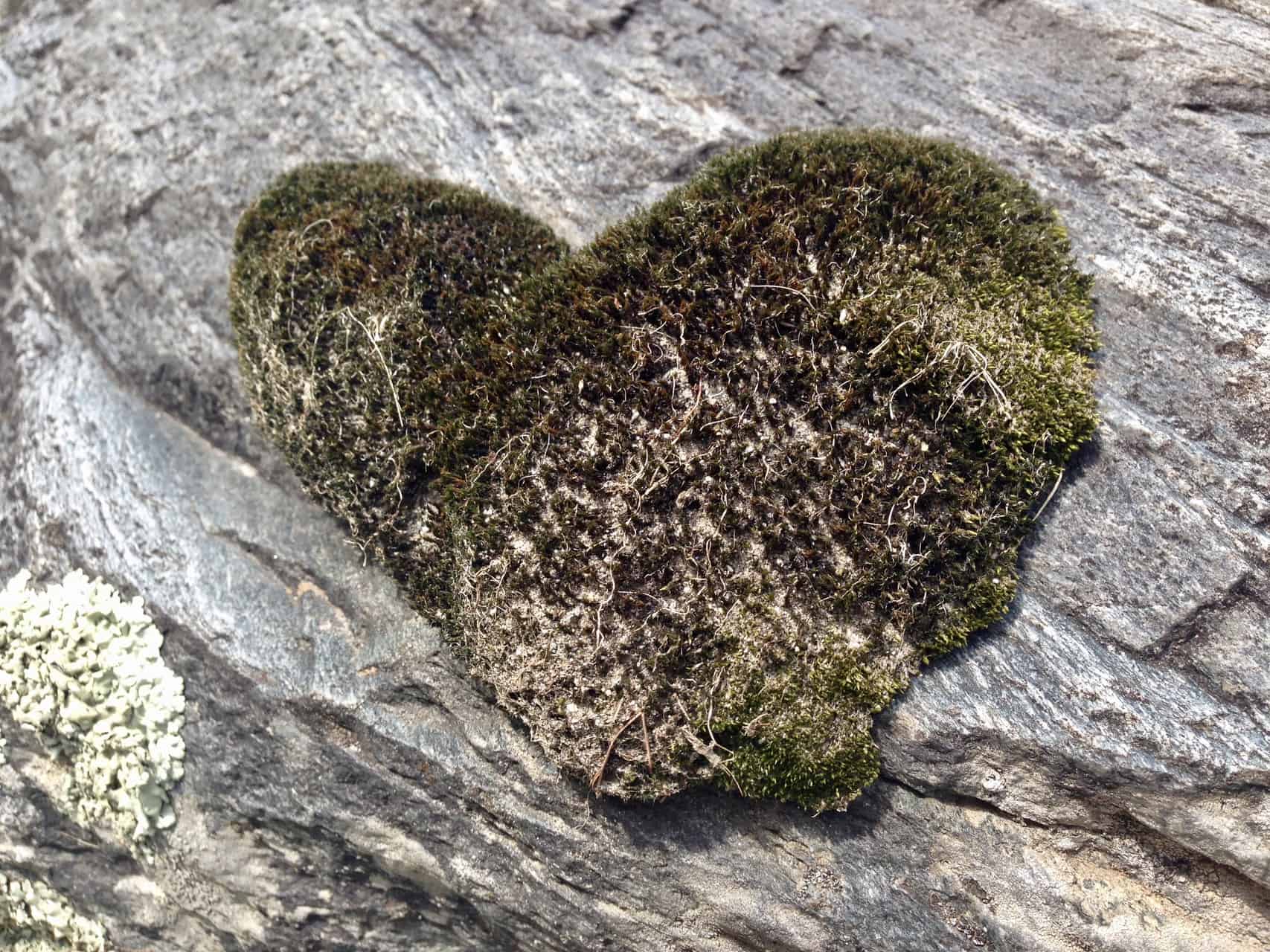Ein Herz für die Natur (Bild: M. Schäfer, Textrakt)